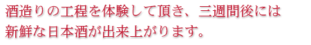 �𑢂�̍H����̌����Ē����A�O�T�Ԍ�ɂ͐V�N�ȓ��{�����o���オ��܂��B